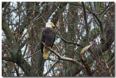 DSC_6913_F.jpg