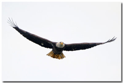 DB1A8876_F.jpg