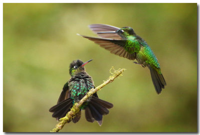 Costa Rica