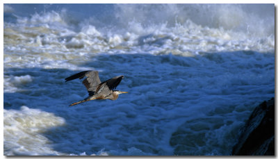 DSC_2044_F.jpg