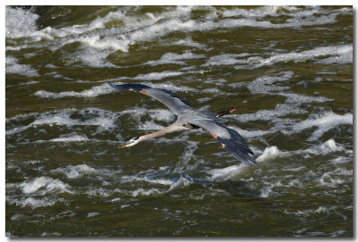 DSC_2262_F.jpg
