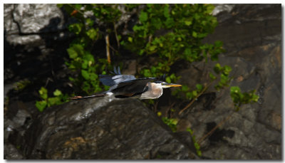 DSC_4598_F.jpg