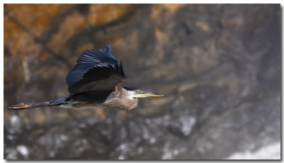 DSC_4842_F.jpg