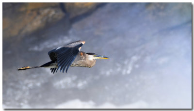 DSC_4844_F.jpg