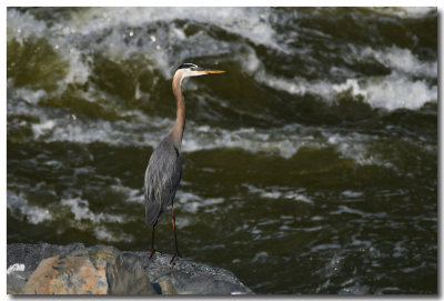 DSC_5652_F.jpg