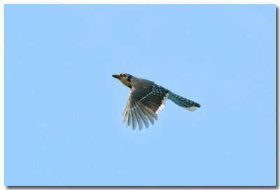 DSC_7469_F.jpg