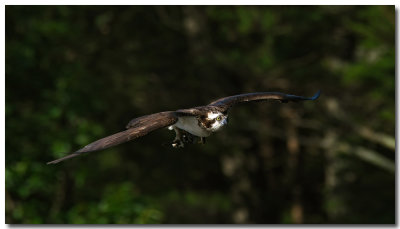 DSC_7633_F.jpg