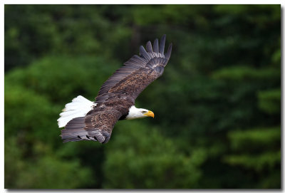 DSC_1282_F.jpg