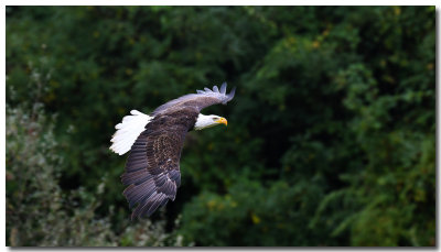 DSC_4956_F.jpg