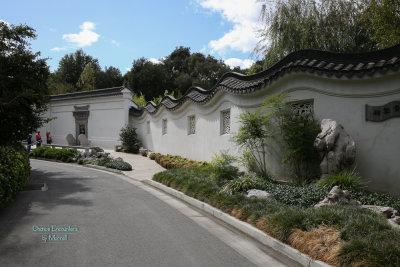 A Day at the Huntington Library and Griffith Park