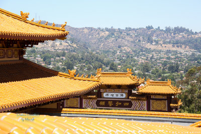 Hsi_Lai-24.jpg