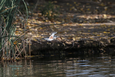 sepul20131117-104.jpg