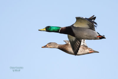 sepul20131117-108.jpg