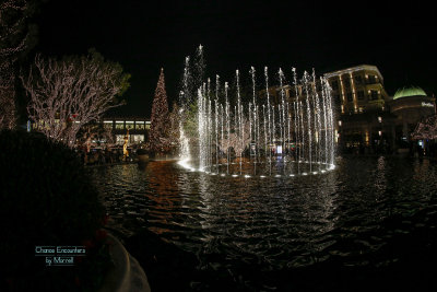 Americana at Christmas 2012