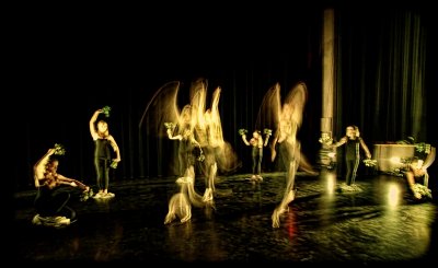 Dance Fest 40