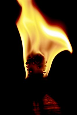 Flame 13.jpg