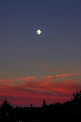 Moon at Sunset 