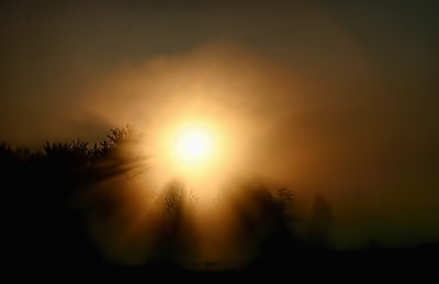 Sun on a misty morning 