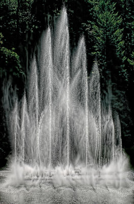 Butchart Fountain 