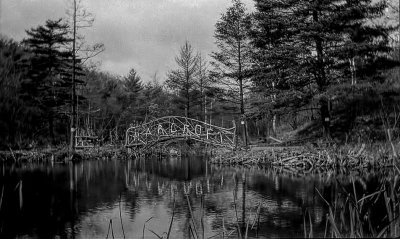 Toronto 1915 Neg Scan 02 High Park