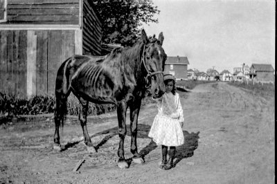 Toronto 1915 Neg Scan 29 Old Horse