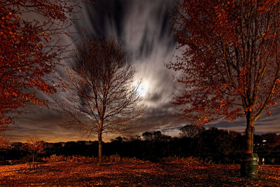 Moonlight long exposure 