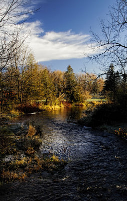 River Scene