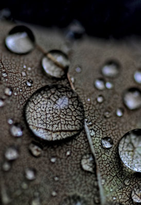 After the Rain