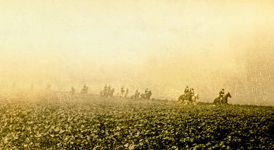 Riding through the Mist