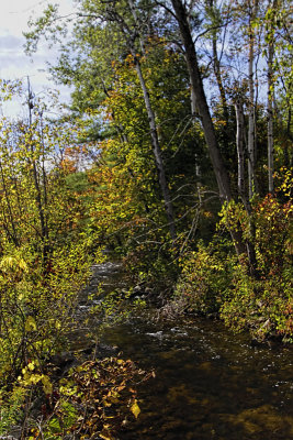 Near Campbellville 