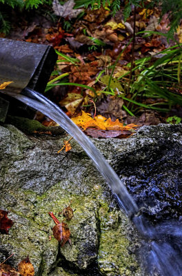Water Feature