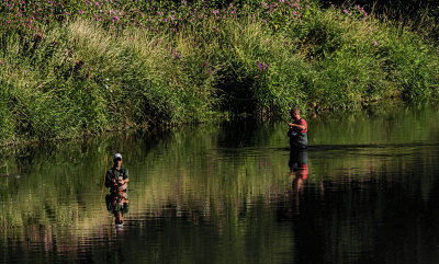 Fishing 