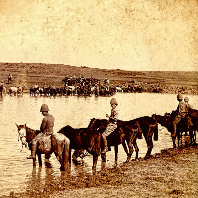 Watering Horses 