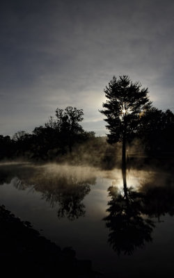 Mist on the Gull 