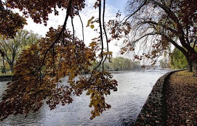 Fall on the Riverbank 