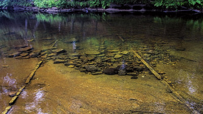 Tracks in the River 