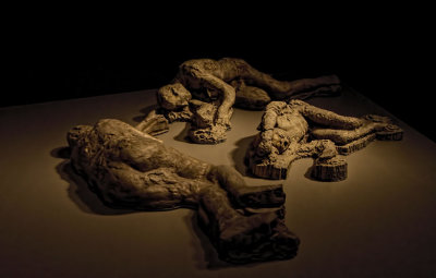 Pompeii Exhibit 17 