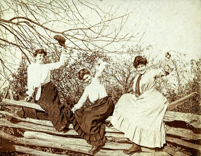 Girls on a Fence 