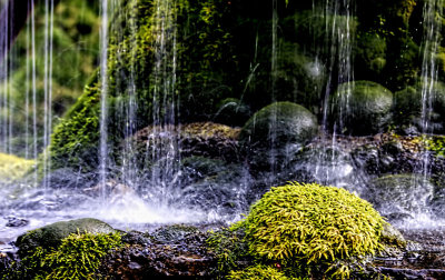 Falling Water