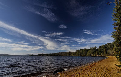 Early December in Algonquin 