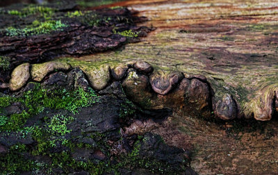 Colour and Texture