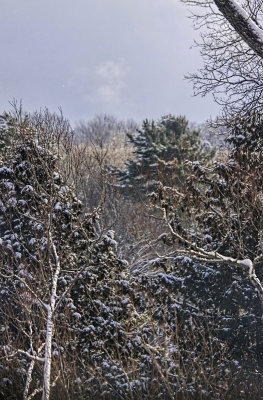 View from Ord St in Minden 