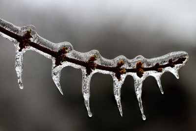 Ice Macro