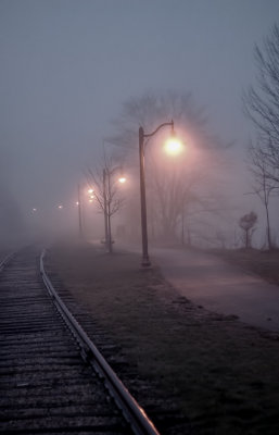 Along the Tracks 
