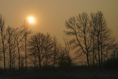 Winter Morning Light 