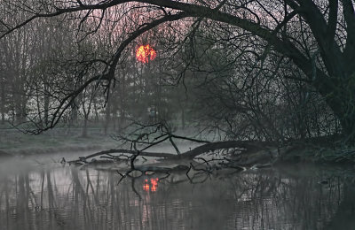 Red Sun and Mist 