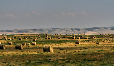 Bales