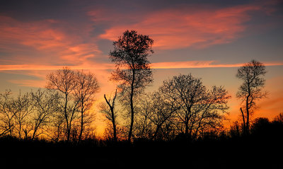 Morning Silhouette 