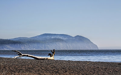 Fundy Shoreline 