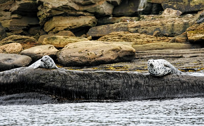 On the Rocks 